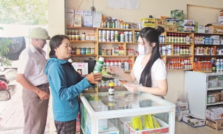 Kinh doanh thuốc bảo vệ thực vật: Quản chặt từ khâu cấp phép