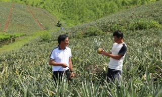 Về Đồng Cống nghe đất chuyển mình