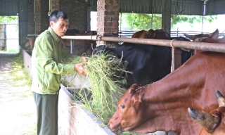 Đảng viên Trịnh Bá Biện làm nông nghiệp tuần hoàn