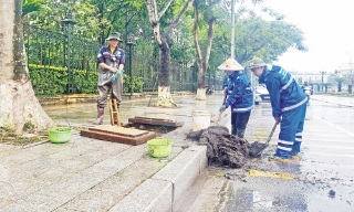 Xử lý dứt điểm tình trạng úng ngập tại phường Bắc Giang