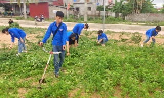 Bắc Ninh tăng cường phòng, chống bệnh Chikungunya và các bệnh truyền qua muỗi khác