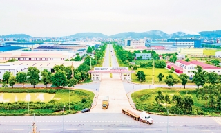 Tạo thế và lực để Đào Viên bứt phá