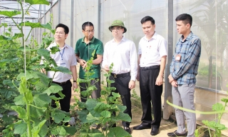 Phường Tân An: Phát triển toàn diện, bền vững, chung sức đưa tỉnh trở thành thành phố trực thuộc Trung ương