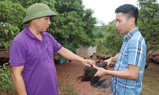 Anh Giáp Quý Cường: Đưa gà đồi Yên Thế “bay” xa