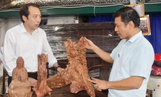 Bắc Ninh: Tiếp sức nâng cao hiệu quả hoạt động của các hợp tác xã