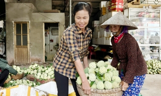 Nghĩa Phương: Nhộn nhịp mùa na