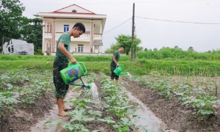 Lữ đoàn Xe tăng 409: Biến đất dốc sỏi đá thành nông trại xanh