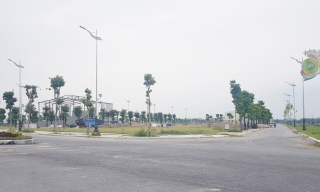 Sở Nông nghiệp và Môi trường đề nghị các địa phương tăng cường kiểm tra, giám sát các cơ sở gây ô nhiễm môi trường