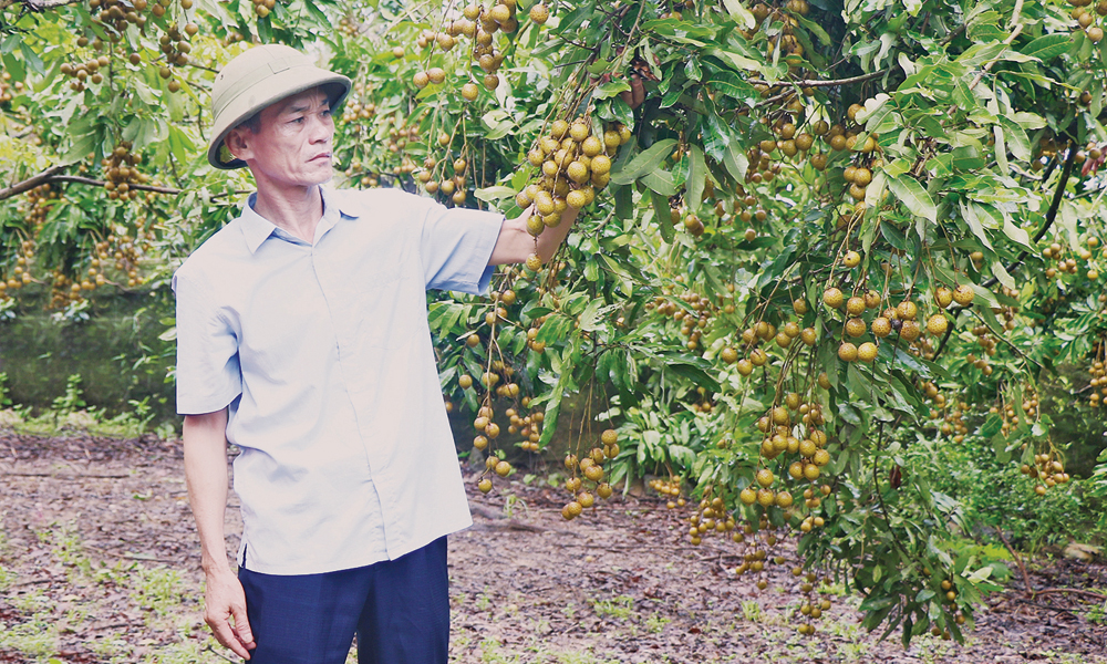  Bí thư chi bộ người Cao Lan làm kinh tế giỏi