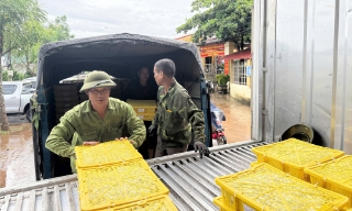 Bắc Ninh: Liên kết sản xuất, tăng giá trị nông sản