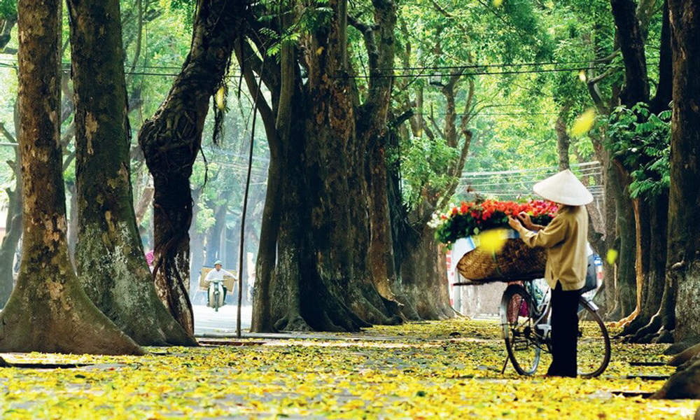  Dự báo thời tiết Bắc Ninh đêm 17, ngày 18/9: Nhiệt độ cao nhất 33 độ