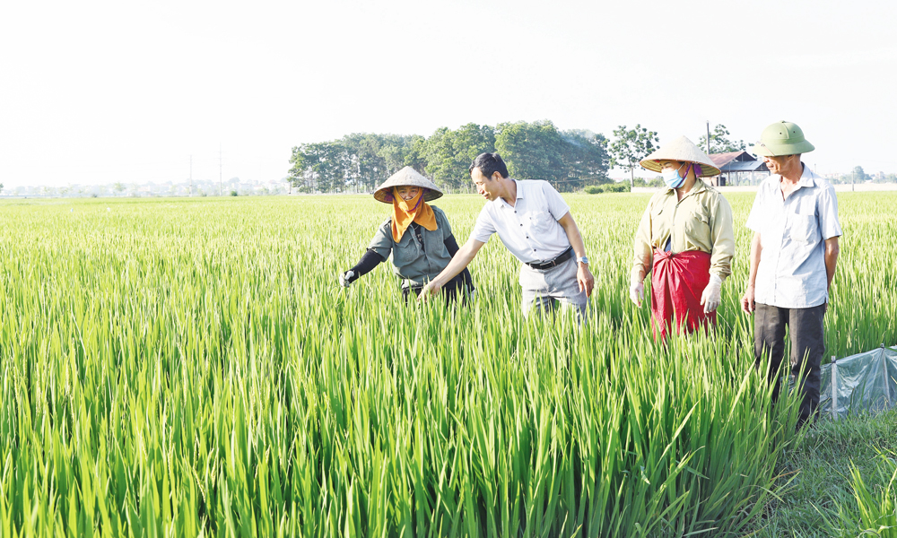  Bắc Ninh: Lan tỏa phong trào thi đua dân vận khéo