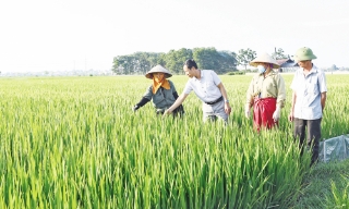 Bắc Ninh: Lan tỏa phong trào thi đua dân vận khéo
