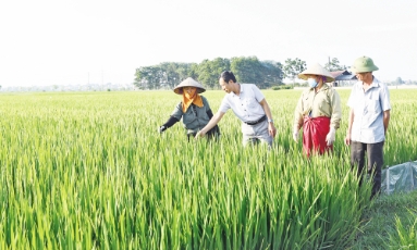  Bắc Ninh: Lan tỏa phong trào thi đua dân vận khéo