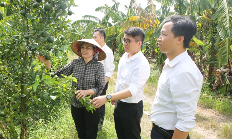  Tín dụng ngân hàng tiếp sức vùng bãi Nam sông Đuống
