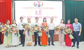 Tổ chức đảng - hạt nhân chính trị trong doanh nghiệp tư nhân