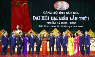 Bắt tay ngay vào hành động