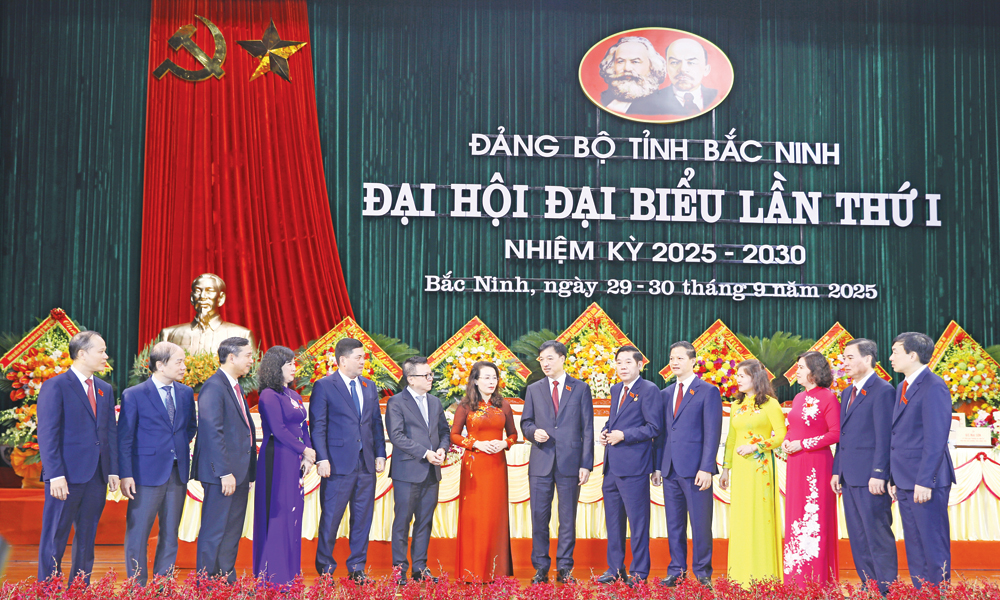  Kỳ vọng vào sự chuyển mình, vươn lên mạnh mẽ
