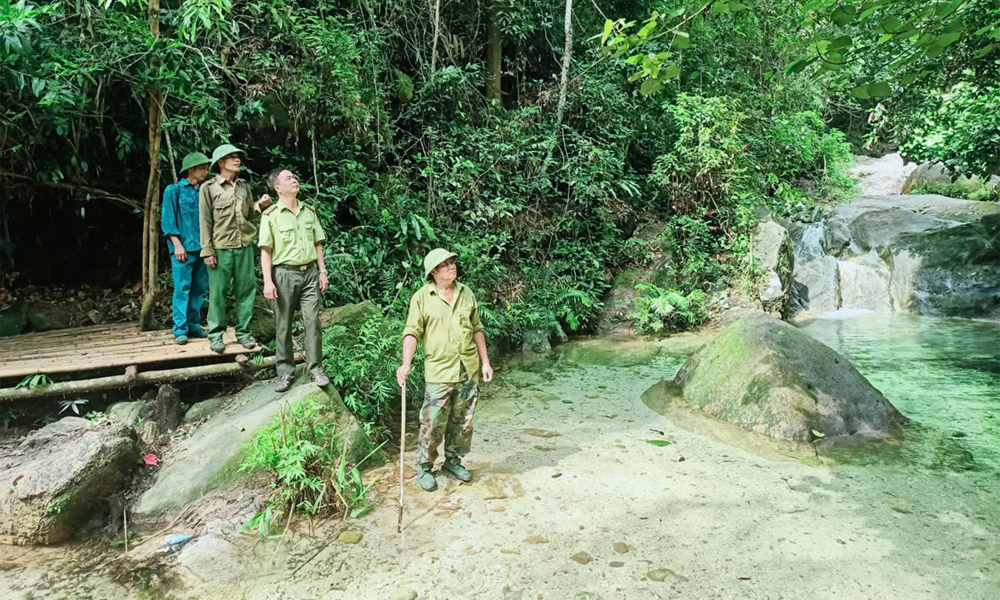 Bắc Ninh: Cải thiện sinh kế, nâng cao ý thức bảo vệ rừng