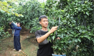 Lắng nghe tâm tư người nghèo, cho vay đúng mục đích
