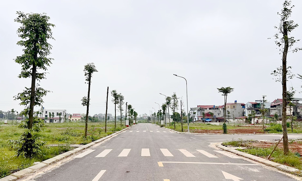  Bắc Ninh triển khai kế hoạch trồng cây phân tán giai đoạn 2026 - 2030