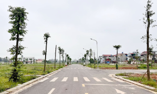 Bắc Ninh triển khai kế hoạch trồng cây phân tán giai đoạn 2026 - 2030
