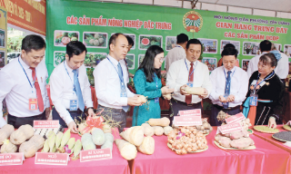 Hội Nông dân tỉnh Bắc Ninh: Khơi dậy phong trào, gắn kết hội viên