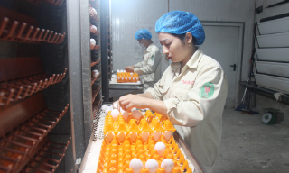 Bắc Ninh: Hướng tới trở thành trung tâm đổi mới sáng tạo vùng Bắc Bộ