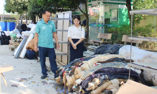 Bắc Ninh: Khẩn trương hỗ trợ người nộp thuế bị ảnh hưởng bởi bão, lũ