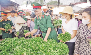Bắc Ninh: Nhịp sống mới ở vùng lũ
