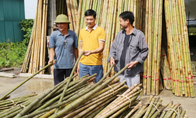  Bắc Ninh: Giữ lửa nghề tre trúc Xuân Lai
