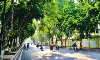 Dự báo thời tiết Bắc Ninh đêm 28, ngày 29/10: Nhiệt độ cao nhất 31 độ
