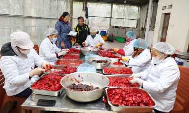  Thương mại điện tử: Giúp khu vực kinh tế tư nhân tăng sức cạnh tranh