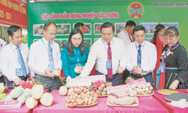  Hội Nông dân tỉnh Bắc Ninh: Tiên phong, sáng tạo, tự tin  bước vào kỷ nguyên mới