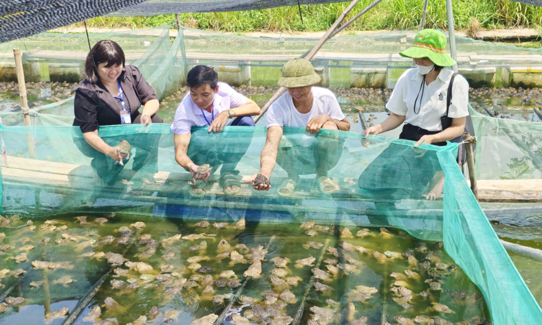  Nông nghiệp hàng hóa mở hướng phát triển kinh tế Nhã Nam