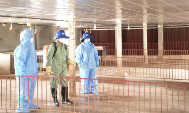  Còn khoảng trống trong bảo hiểm nông nghiệp    