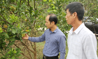 Xã Mỹ Thái khôi phục sản xuất sau mưa lũ