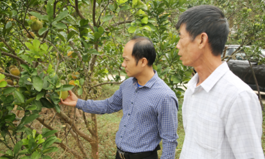  Xã Mỹ Thái khôi phục sản xuất sau mưa lũ