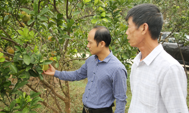  Xã Mỹ Thái khôi phục sản xuất sau mưa lũ