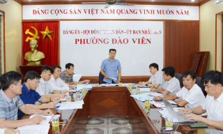 Đảng ủy phường Đào Viên: Lãnh đạo nâng cao các tiêu chí đô thị