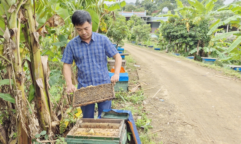  Bắc Ninh: Tập trung ứng dụng công nghệ trong chăn nuôi