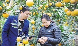 Những giải pháp trọng tâm phát triển nông nghiệp, bảo vệ môi trường bền vững