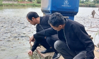 Bắc Ninh: Thúc đẩy tự động hóa trong nuôi thuỷ sản thâm canh