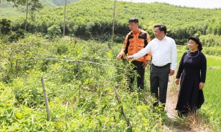 Chọn nghề phù hợp, vươn lên thoát nghèo