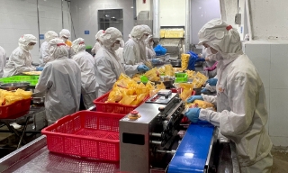 Bắc Ninh: Tăng hàm lượng công nghệ, nâng giá trị nông sản