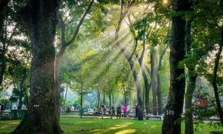 Thời tiết Bắc Ninh đêm 28, ngày 29/11: Ngày trời nắng, đêm và sáng rét hại