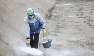 Bắc Ninh: Khôi phục nuôi trồng thủy sản sau mưa bão