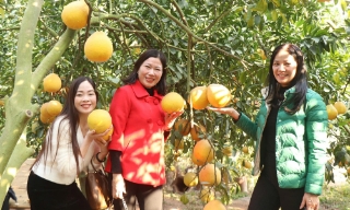 Bắc Ninh đón khoảng 6,3 triệu lượt khách du lịch