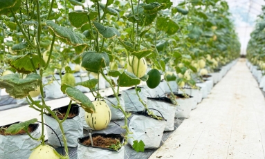  Bắc Ninh triển khai kế hoạch hỗ trợ hệ sinh thái khởi nghiệp đổi mới sáng tạo giai đoạn 2025 - 2030