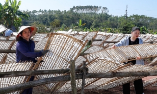 Giàu lên nhờ sản xuất mỳ gạo